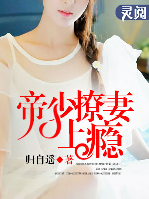 2024天天夜夜在线视频
