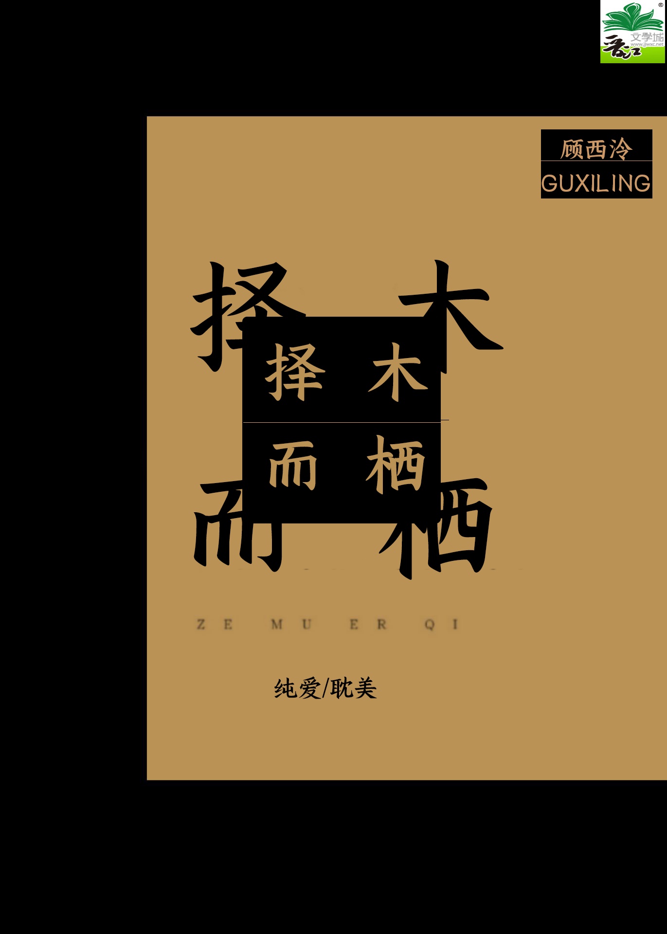 国模范范全套