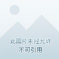 独宠你