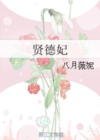 帝国元帅的男妻怀孕了