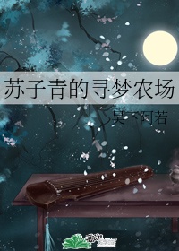 dilawaiz电视剧
