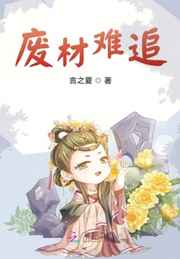 情圣免费观看