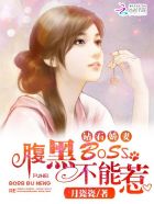 xbmm05猫咪
