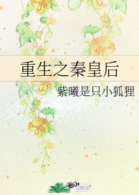 惩罚夹震动器走路