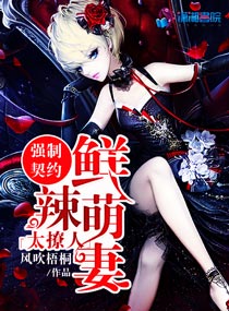 日本高清免费一本视频在线观看