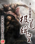 黑帮大佬和我的365天第四部