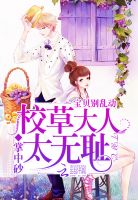 木叶之光