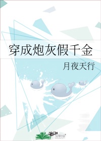 白夜追凶电视剧高清免费观看全集