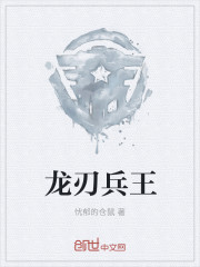 变形金刚2雅酷