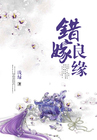 柠檬wifi
