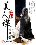 陆铭霍雨桐小说