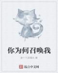国产砖码砖专区1688