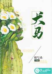 原神须弥