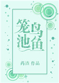 韩国理论视频