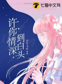 新流星花园免费