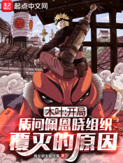 无敌流浪汉3中文版