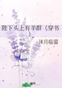 赤蝶