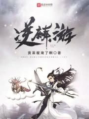 经典把灰系列小说全集
