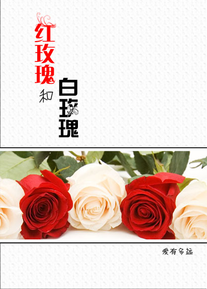 张三丰异界游