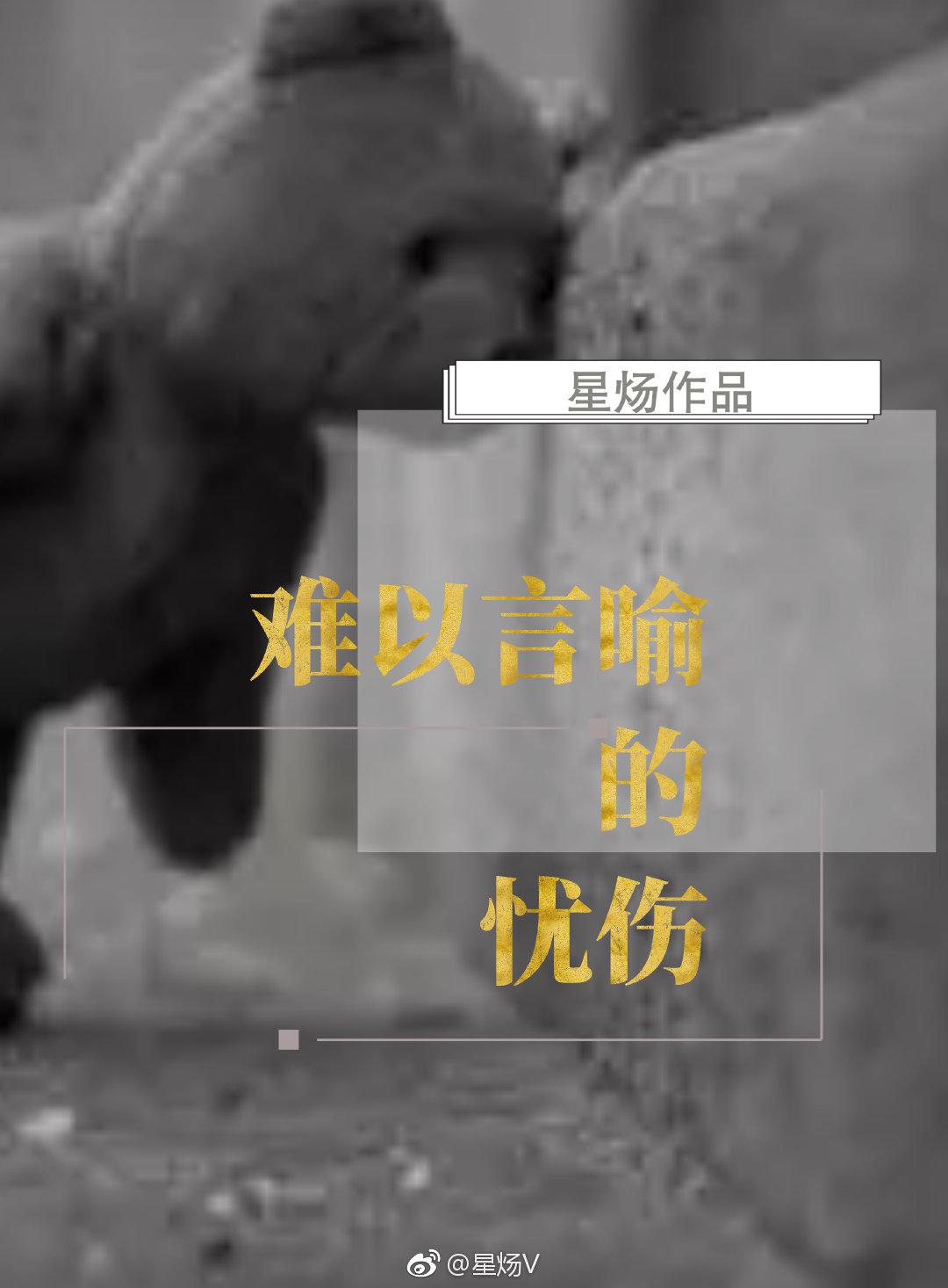 豪门强婿