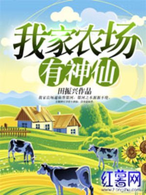 完美人生小说沈浪