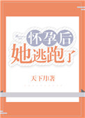 台湾人看大陆2024视频