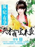 闪击波兰
