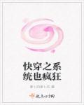 那年花开月正圆小说