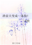 顶楼大象 视频观看56