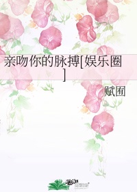 粉饼推荐