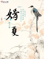 一本之道dvd在线播放