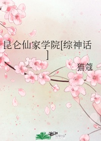 真精华正版布衣天下123