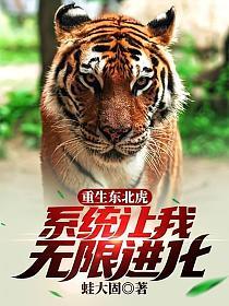 清穿之低调生活