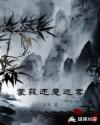少年派第一季全集免费观看完整版