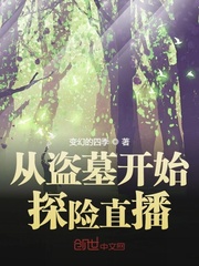 泰拉瑞亚免root开挂器