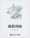 应该小说