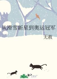 奥迪v12发动机
