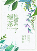 韩国直播抓奶的女主播