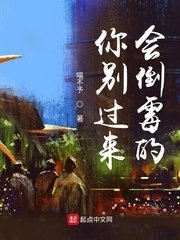 猫咪官网