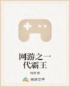长篇高肉txt全本小说