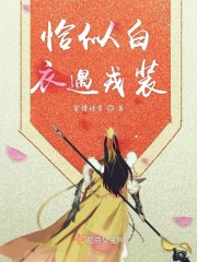 卡龙车文