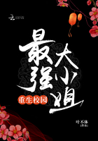 我的美女老板2