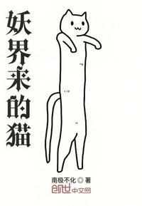 禁止想象嘘在线播放