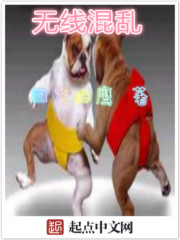 忍者必须死3小椒的内裤