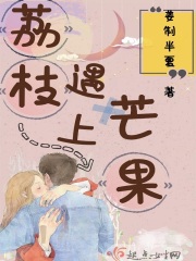 警花五部曲之俏陈艳