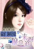幸福59厘米之小马