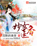 2024午夜神马理论