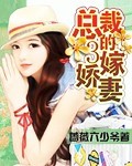 平天策小说