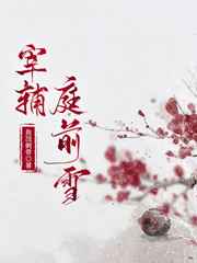 大杂烩家庭小说TXT