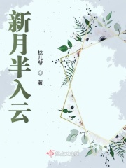 办公室贵妇含枪